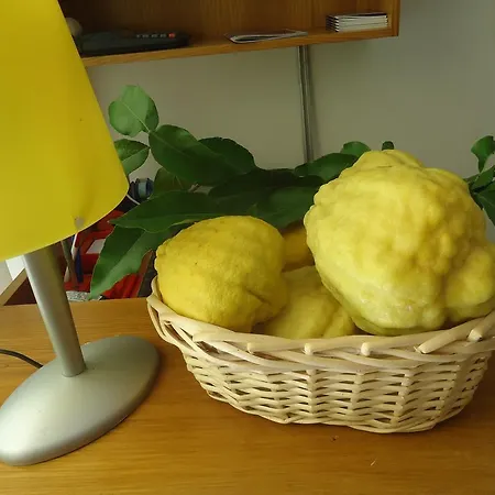 アパートホテル Il Cedro