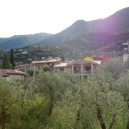 Il Cedro 2*