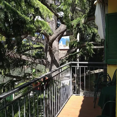 Il Cedro Malcesine